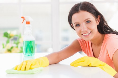 Home cleaners in N8 providing domestic cleaning in a living room