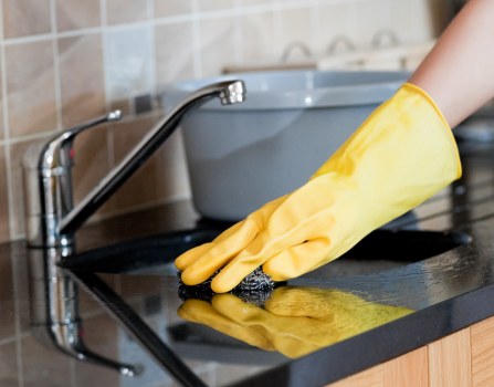 Experienced carpet cleaners in N8 restoring a busy household carpet