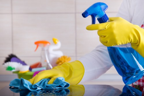 Final legal terms section for carpet cleaning services