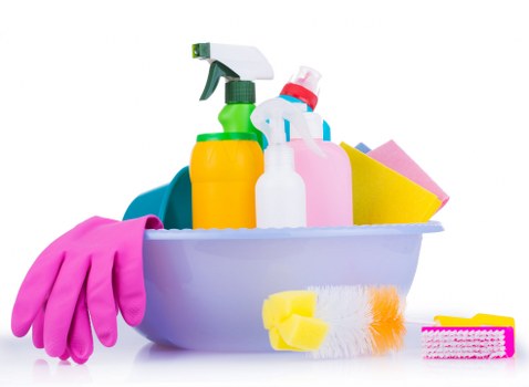 Professional carpet cleaner following safe working practices