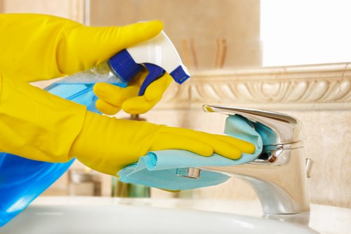 Reliable domestic cleaning in N8 for busy households