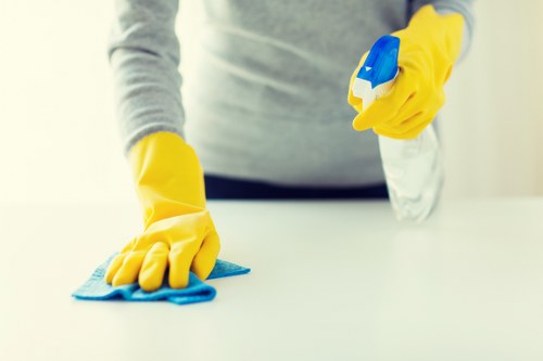 Professional cleaner handling kitchen cleaning tasks in N8