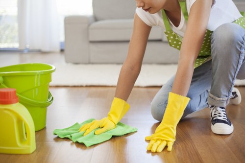 Upholstery cleaner removing stains from a fabric sofa in N8