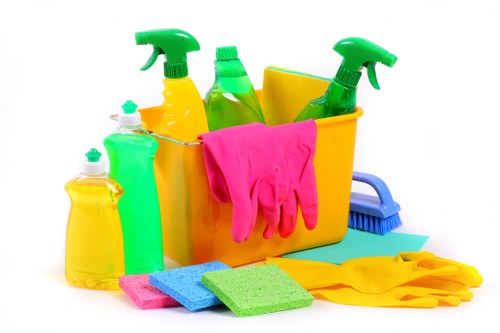 Cleaner dusting and refreshing a living room in N8